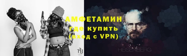 крисы Надым