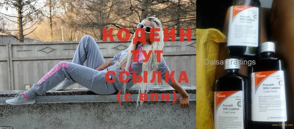 крисы Надым