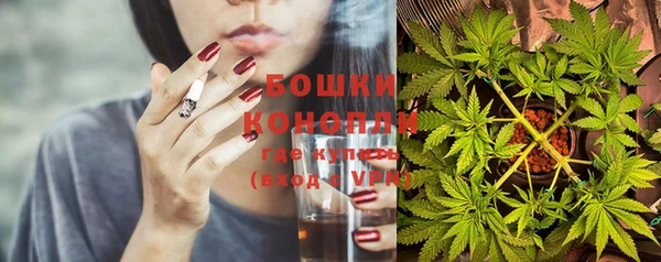 крисы Надым