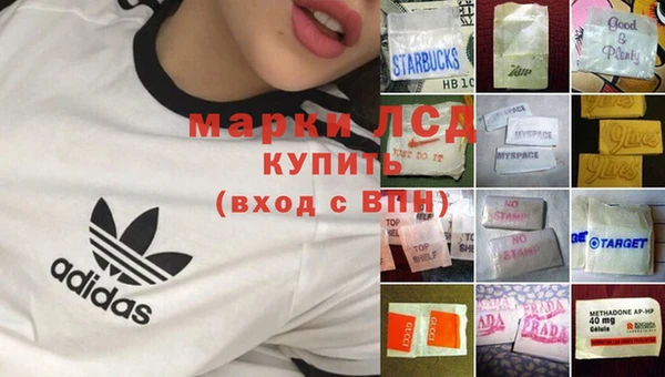 крисы Надым