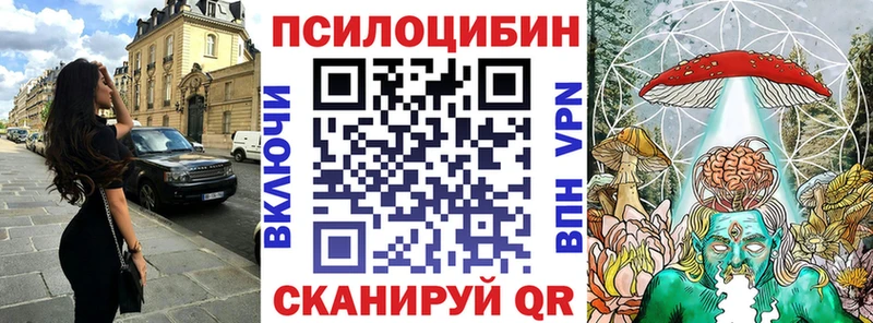 купить наркотик  Ртищево  Галлюциногенные грибы GOLDEN TEACHER 