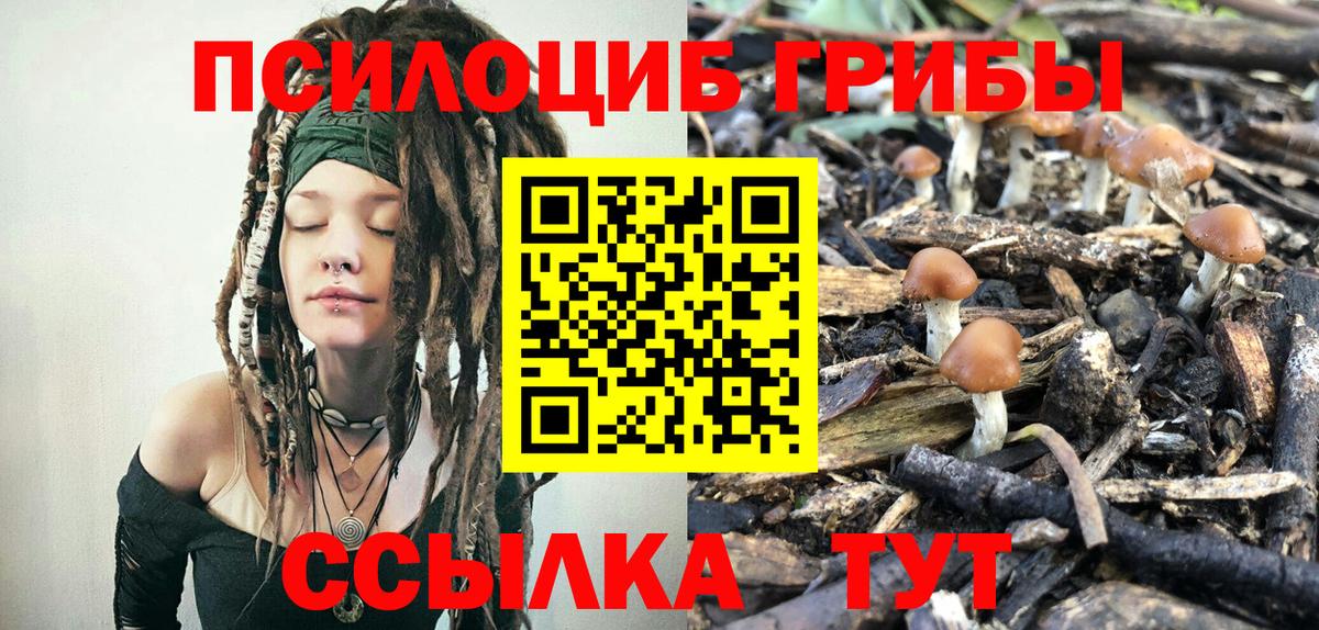 Псилоцибиновые грибы Psilocybe  Вход с VPN  Псилоцибиновые грибы мицелий  Ртищево 